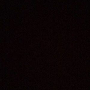 Meet your Posher, Lilly